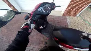 Honda Elite 110 vs Genuine Buddy 125