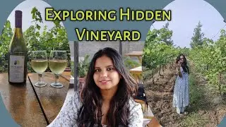 Hidden Vineyards Nashik| Weekend Gateways from Mumbai|Must Visit|Unique Experience |Offbeat Tour