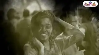 Happy Holi Wishes | Holi Whatsapp Video Status | Best Happy Holi Status | Animated Holi Status 2025