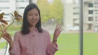 Why study Business and Sustainability? | Western Washington University International Study Center