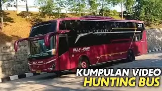 Kumpulan Video Hunting Bus ❗ MUJI JAYA, SAHAALAH, ARYA PRIMA, AKAS AURORA, MEDALI MAS, GARUDA MAS