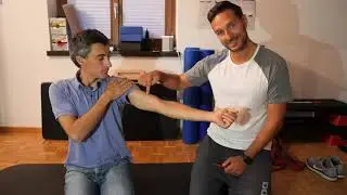Muscoli e tendini