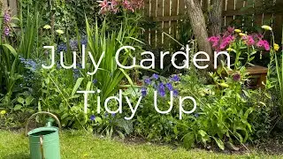 July Garden Tidy Up, Deadhead Flowers  | Relaxed Summer Gardening