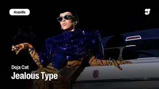 Doja Cat &ndash; Jealous Type | Acapella 