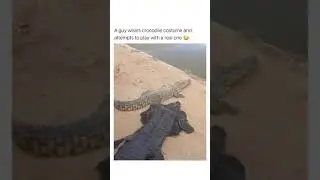 A guy wears crocodile costume and attempts to play with The real one @sarcaxtic_kai Falcon Aquarium