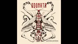 1 ODONATA X-1   Oriental Memories from the LP Gravitational Perturbation