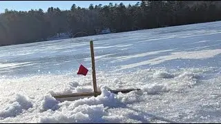 Maine Reels is live! Pike fishing