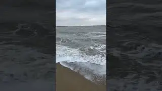 POV: A windy Winter Beach Walk ASMR 🌊 | #shorts #ocean #nature #asmr