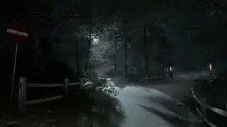 KIL13RKAMP! MOONLIT PATH AMBIENCE!