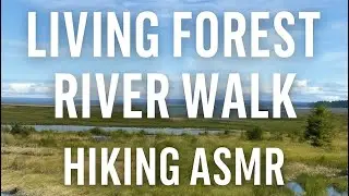 Living Forest River Walk | ASMR Hiking with My Dog Chip in Nanaimo, Vancouver Island