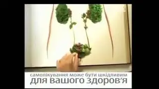 Рекламный блок (1+1, 09.08.2011)