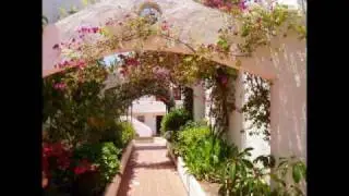 Royal Palm  Studio Apartment Los cristianos Tenerife