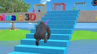 Long slide game|animals cartoon video
