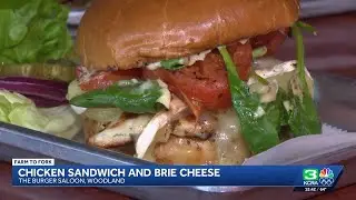 Farm-to-Fork Friday | How to make a chicken sandwich feel sophisticated