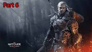 The Witcher 3 Wild Hunt Gameplay Walkthrough Part 6