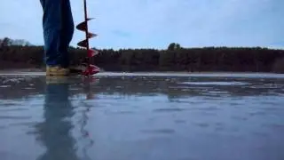 Eskimo shark,  first hole of the season