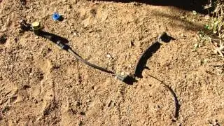 Growing Food in the Desert