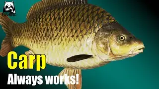 Russian Fishing 4 -  Bear Lake - Always works! Which baits? Which Groundbait?