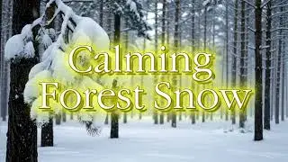 Peaceful Forest Snow ❄️ 1.5 Hours of Calm Winter Ambience for Relaxation, Study & Meditation