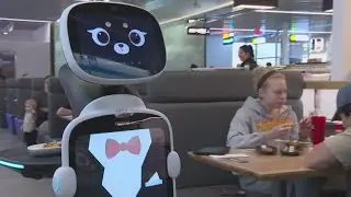 High Point restaurant now has robot servers