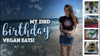 23 Birthday Vlog! VEGAN FUDGE!! || Michelle Mills