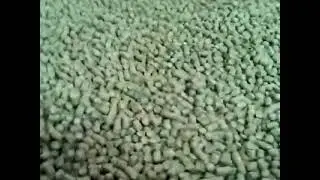 Pellet Sifting