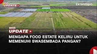 Explain: Mengapa Food Estate Keliru untuk Memenuhi Swasembada Pangan?