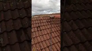 Insane Roof Cleaning Transformation #exteriorclean #satisfying #cleaning #jetwashing #clean
