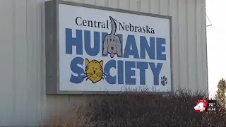 Grand Island&rsquo;s limited animal control staffing could impact response times
