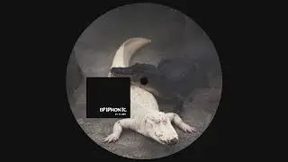Rawski - Epiphonic