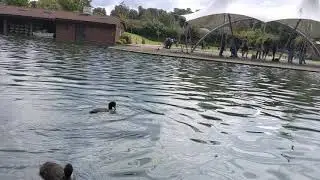 eastrop park