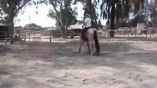 SANY0302