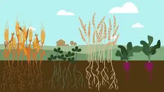 Farm Conservation & Sustainability