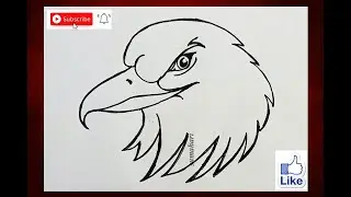 How to draw eagle face easy || Easy eagle face drawing || Bird drawing