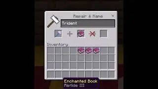 BEST ENCHANTMENTS (TRIDENT)