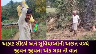 ભરપુર કુદરતી વૈભવ પરંતુ સુવિધાઓ થી વંચીત પાવીજેતપુર તાલુકાનું ભાભર ગામ ! સરકારી યોજના ઓ ક્યાં છે ?