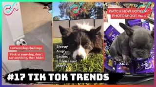 #17 TIK TOK TRENDS VIDEO COMPILATION US UK | 28th August 2020