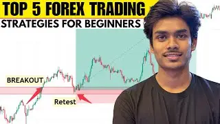 Top 5 trading strategies for beginners || Fund Master