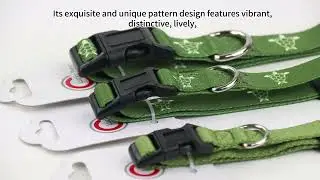 Custom Printed Dog Collars: Designed and manufactured by a leading Chinese pet products supplier.