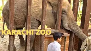 KARACHI ZOO, ELEPHANTS, TIGERS, LION, ZEBRA, CHIMPANZEE, HAUNTED HOUSE, PAKISTAN TRAVEL 2022, 4K