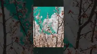 #spring in#yazd
