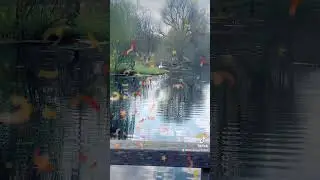 Beautiful anton lake short video #tanishaislam #birtish #anton lake#short