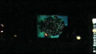 Taniwha's Den