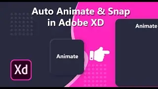 Cool Auto animate in Adobe XD with a Hover Shape | Hover shape animate | Auto animate & Snap in XD