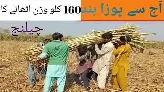 چیلنج مہنگا پڑ گیا 