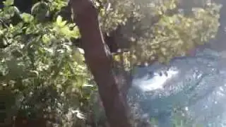 amy jumping at NLQP