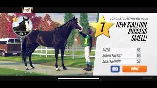 Rival Stars Horse Racing: How to breed black horses || road to level 20!! (Mobile Edition)