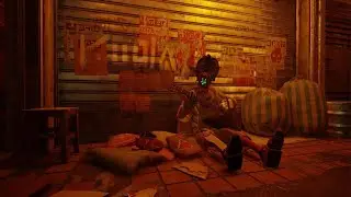 Stray - 