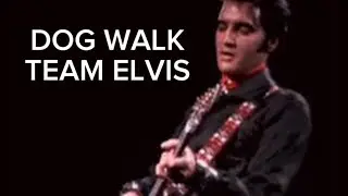 ELVIS PRESLEY FAN - ON KETO DIET  is live DOG WALK