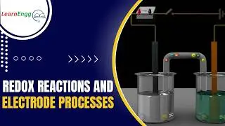 Daniel Cell Experiment | Redox Reactions & Electrode Processes Explained!| LearnEngg